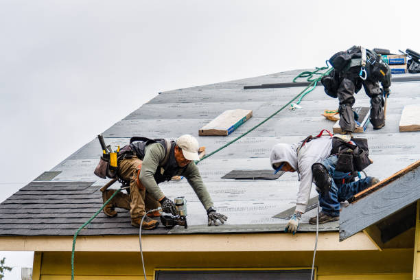 Professional Gutter Installation technician working in Gray, IA
